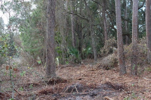 Tiny photo for 0 S Lott St, Lenox, GA 31637 (MLS # 142737)