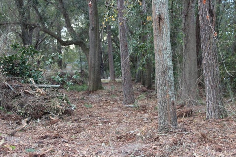 Tiny photo for 0 S Lott St, Lenox, GA 31637 (MLS # 142737)