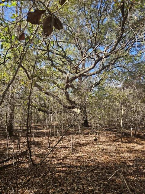 Photo of 0 US Hwy 319 N, Tifton, GA 31794 (MLS # 139105)