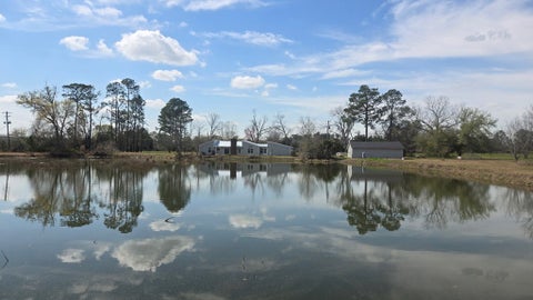 Tiny photo for 894 US Hwy 129, Ray City, GA 31645 (MLS # 142902)