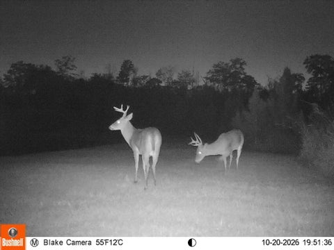 Tiny photo for 808 Dave Bishop Sr Rd, Fitzgerald, GA 31750 (MLS # 143230)