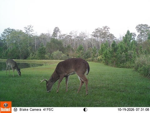 Tiny photo for 808 Dave Bishop Sr Rd, Fitzgerald, GA 31750 (MLS # 143230)