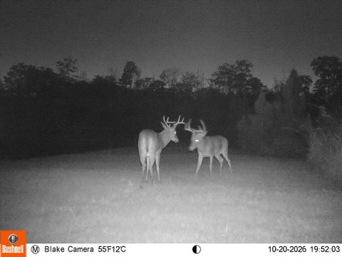 Tiny photo for 808 Dave Bishop Sr Rd, Fitzgerald, GA 31750 (MLS # 143230)