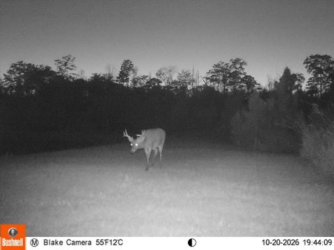 Tiny photo for 808 Dave Bishop Sr Rd, Fitzgerald, GA 31750 (MLS # 143230)