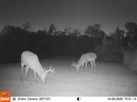 Tiny photo for 808 Dave Bishop Sr Rd, Fitzgerald, GA 31750 (MLS # 143230)