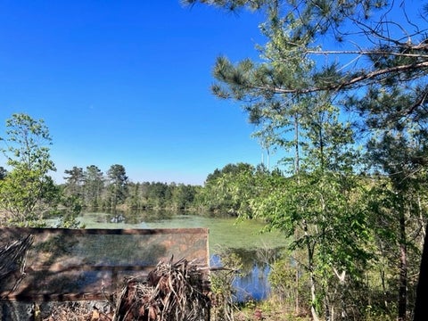 Tiny photo for 0 Whiddon Mill Road, Tifton, GA 31793 (MLS # 138931)