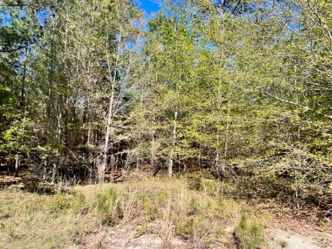 Tiny photo for 0 Whiddon Mill Road, Tifton, GA 31793 (MLS # 138931)
