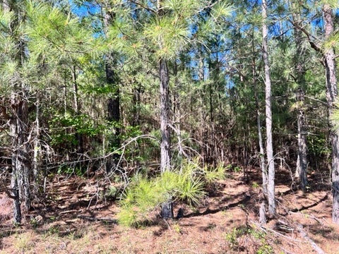 Tiny photo for 0 Whiddon Mill Road, Tifton, GA 31793 (MLS # 138931)