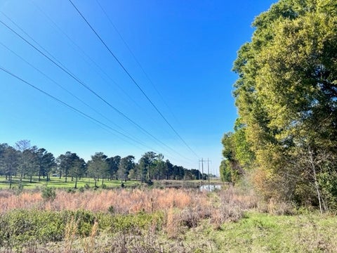 Tiny photo for 0 Whiddon Mill Road, Tifton, GA 31793 (MLS # 138931)