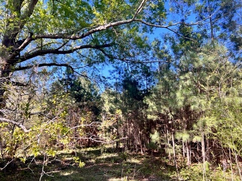 Tiny photo for 0 Whiddon Mill Road, Tifton, GA 31793 (MLS # 138931)