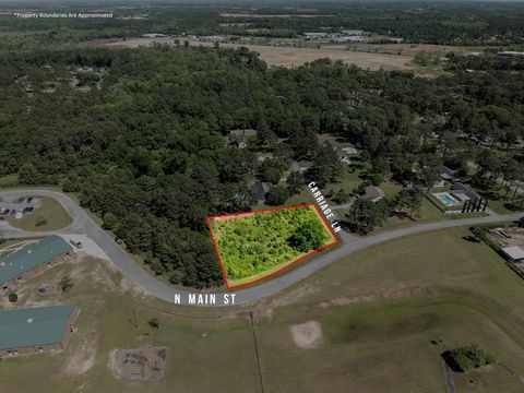 Photo of 100 Carriage Ln, Sylvester, GA 31791 (MLS # 138597)
