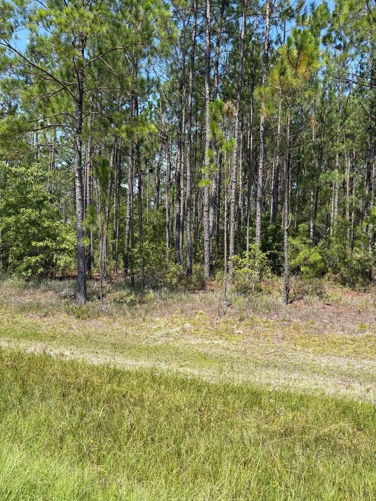 4250 North Old Coffee Rd