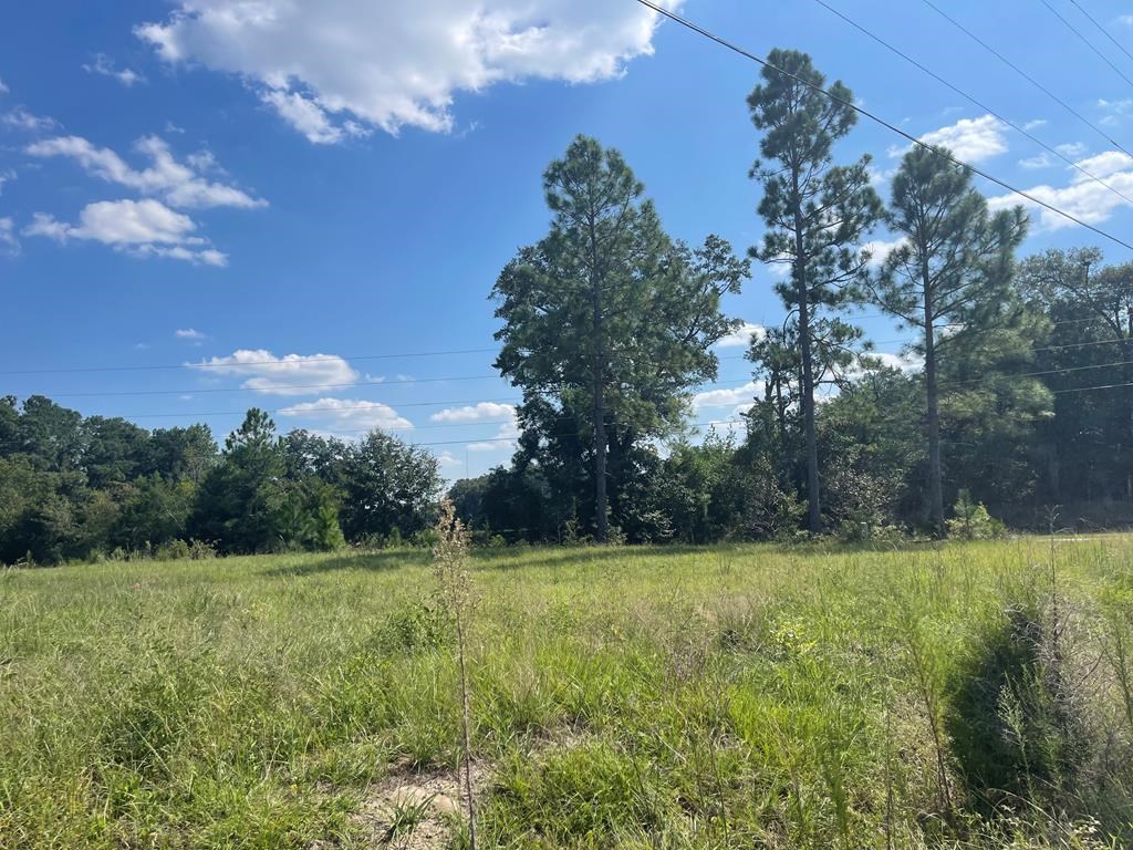 538 Lundy Rd.