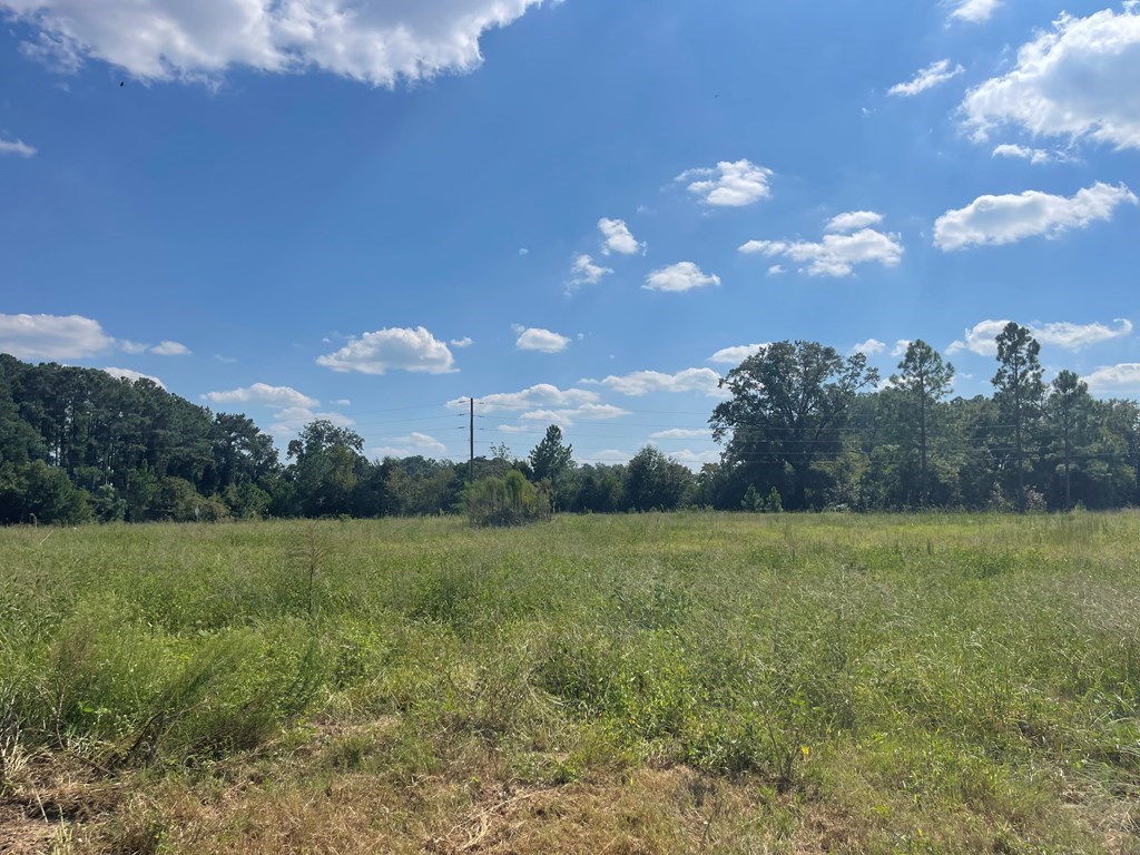 538 Lundy Rd.