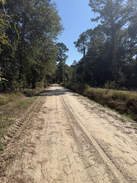 Tiny photo for 1 Walker Carter Road, Nashville, GA 31639 (MLS # 143211)