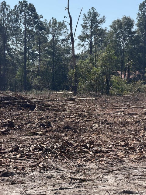 Tiny photo for 1 Walker Carter Road, Nashville, GA 31639 (MLS # 143211)