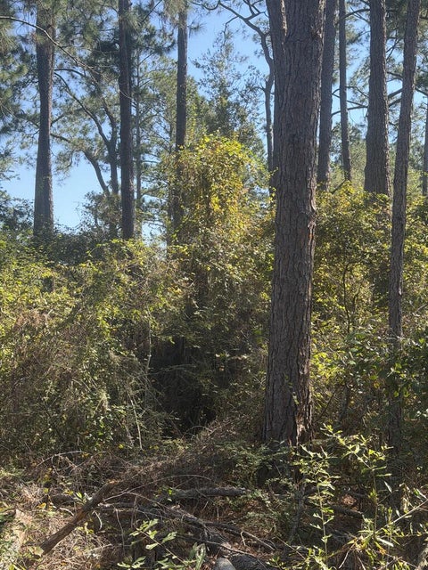 Tiny photo for 1 Walker Carter Road, Nashville, GA 31639 (MLS # 143211)