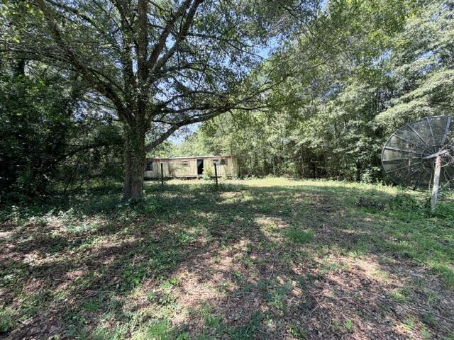 158 Dewey McGlamry rd