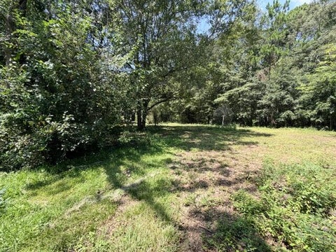 Tiny photo for 158 Dewey McGlamry Rd, Fitzgerald, GA 31750 (MLS # 143031)