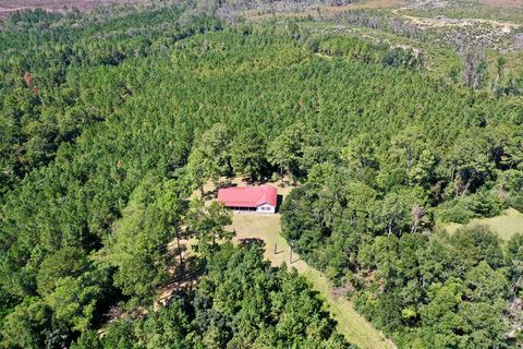 Photo of 1564 Big Horse Creek Rd, Jacksonville, GA 31544 (MLS # 138816)