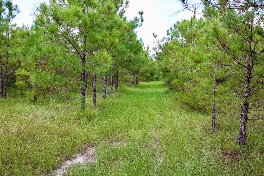 1564 Big Horse Creek Rd