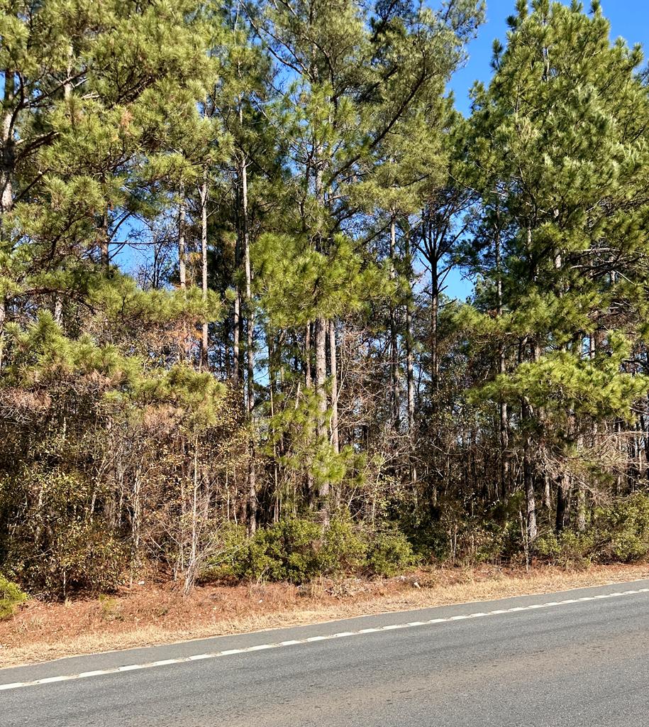 0 Tifton Eldorado Rd