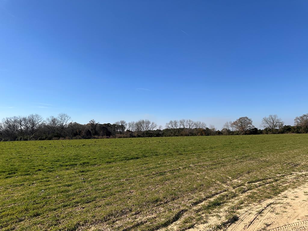 0 Tifton Eldorado Rd