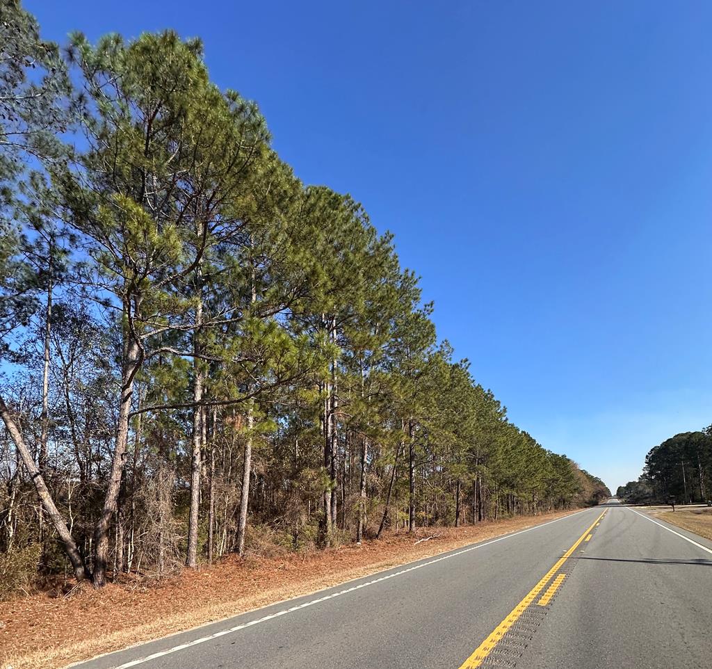 0 Tifton Eldorado Rd