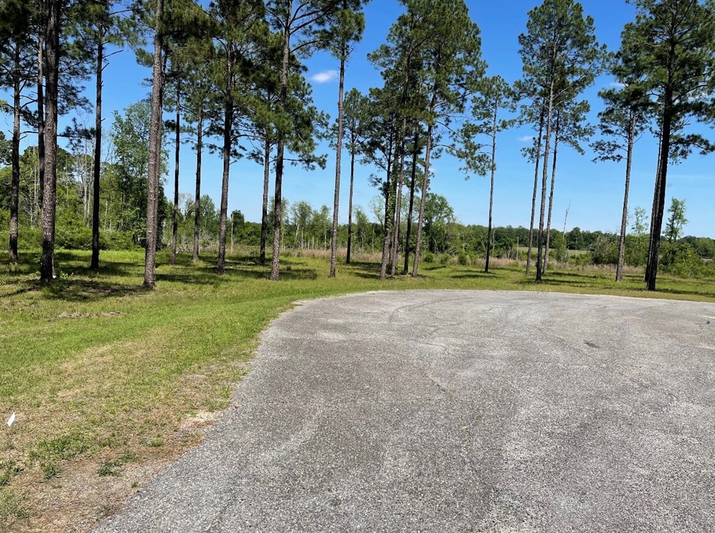 163 Country Woods