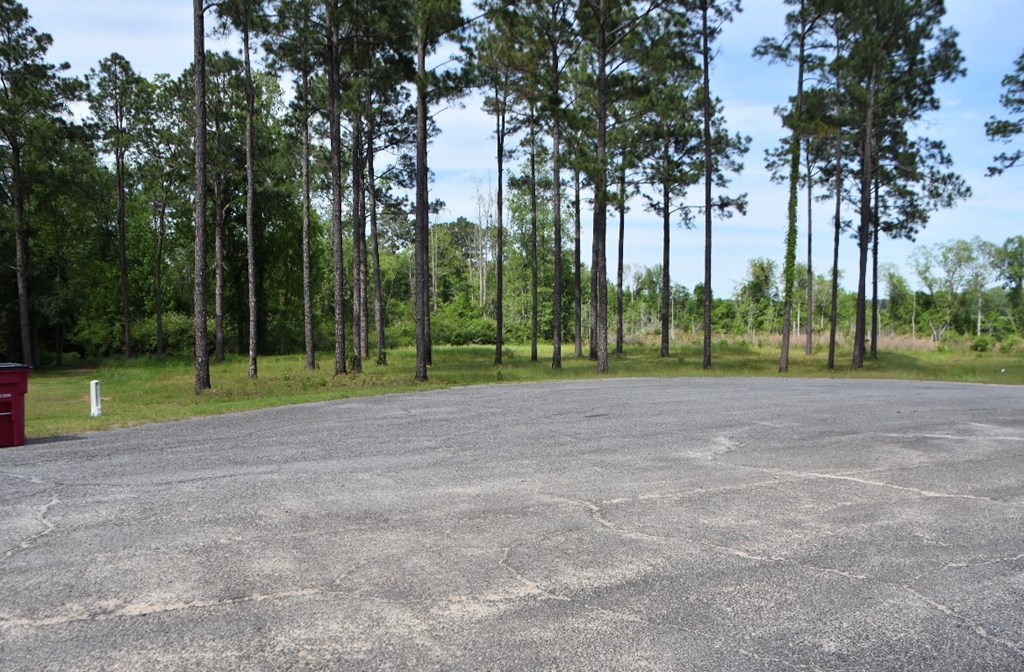 163 Country Woods
