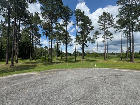 163 Country Woods Poulan GA 31781