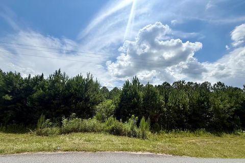 Photo of 10 Mount Olive Church Rd, Tifton, GA 31794 (MLS # 142894)