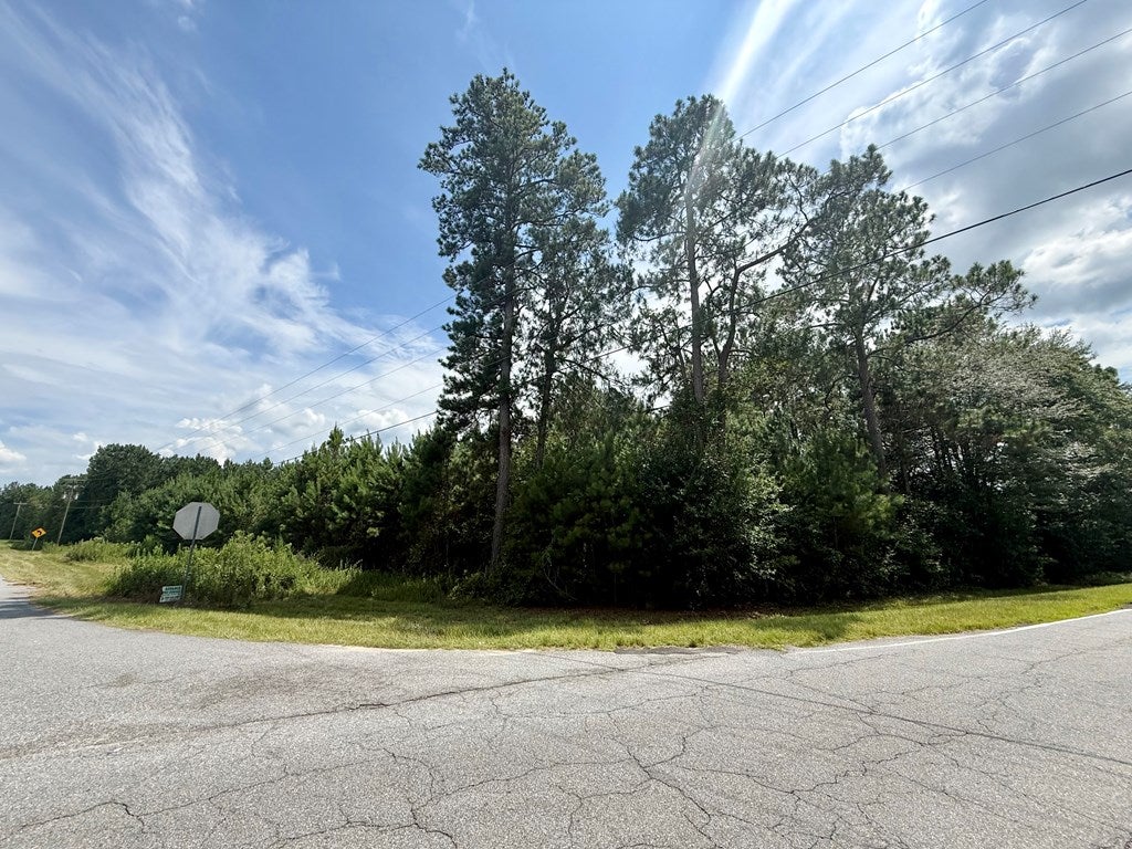 10 Mount Olive Church Rd