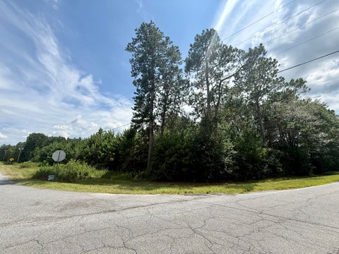 Tiny photo for 10 Mount Olive Church Rd, Tifton, GA 31794 (MLS # 142894)