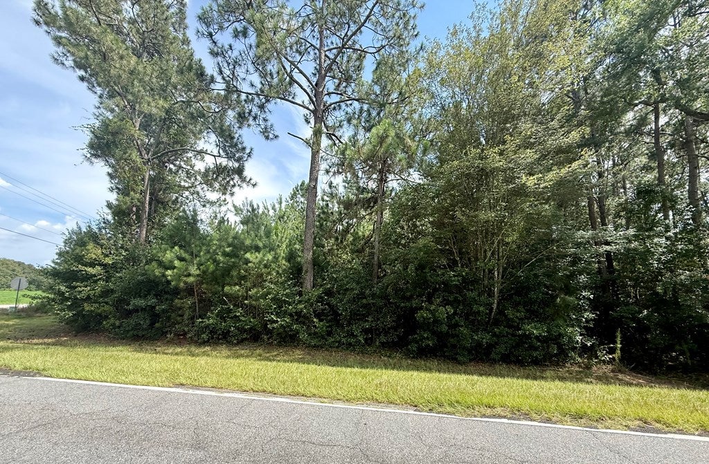 10 Mount Olive Church Rd