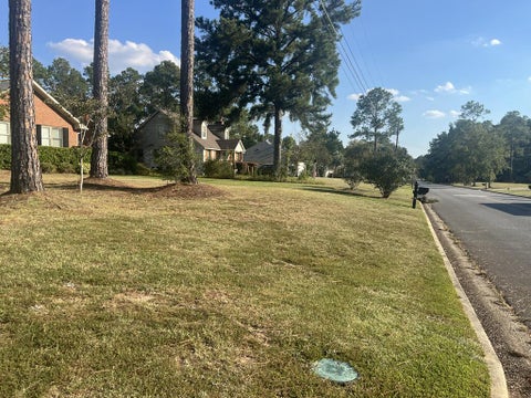 Tiny photo for 2409 N Park Ave, Tifton, GA 31794 (MLS # 143173)