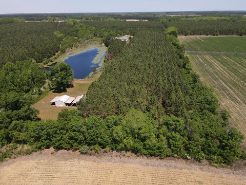 Tiny photo for 668 Ten Mile Rd, Fitzgerald, GA 31750 (MLS # 142583)