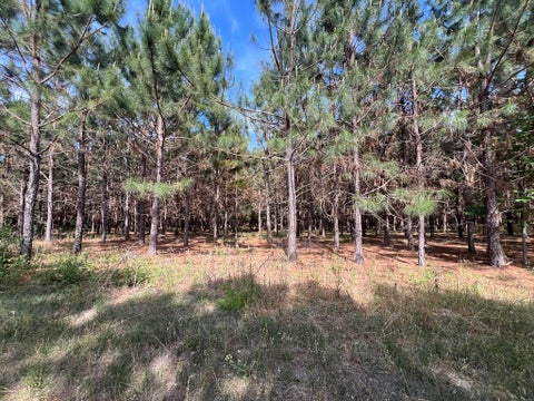 Tiny photo for 668 Ten Mile Rd, Fitzgerald, GA 31750 (MLS # 142583)