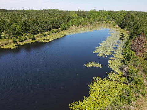 Tiny photo for 668 Ten Mile Rd, Fitzgerald, GA 31750 (MLS # 142583)