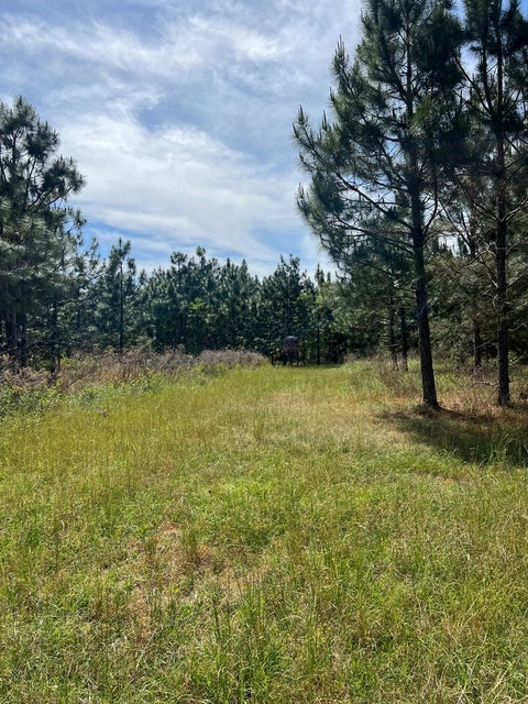 Tiny photo for 668 Ten Mile Rd, Fitzgerald, GA 31750 (MLS # 142583)