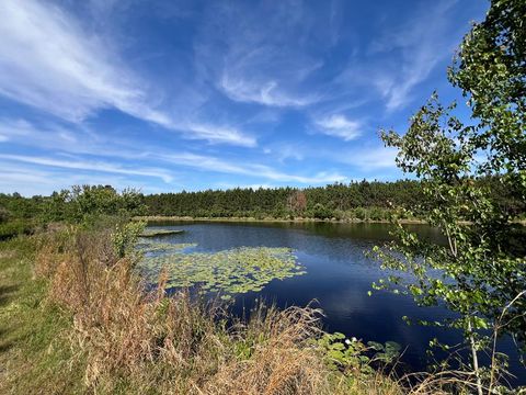 Photo of 668 Ten Mile Rd, Fitzgerald, GA 31750 (MLS # 142583)