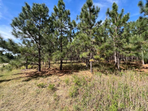 Tiny photo for 668 Ten Mile Rd, Fitzgerald, GA 31750 (MLS # 142583)