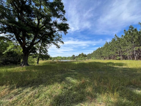 Tiny photo for 668 Ten Mile Rd, Fitzgerald, GA 31750 (MLS # 142583)