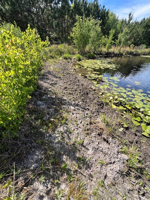 Tiny photo for 668 Ten Mile Rd, Fitzgerald, GA 31750 (MLS # 142583)
