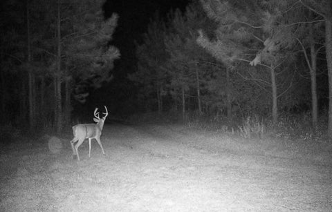 Tiny photo for 668 Ten Mile Rd, Fitzgerald, GA 31750 (MLS # 142583)