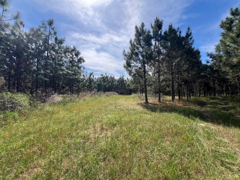 Tiny photo for 668 Ten Mile Rd, Fitzgerald, GA 31750 (MLS # 142583)