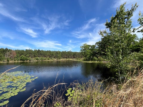 Tiny photo for 668 Ten Mile Rd, Fitzgerald, GA 31750 (MLS # 142583)