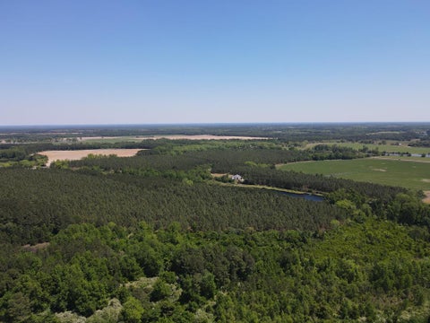 Tiny photo for 668 Ten Mile Rd, Fitzgerald, GA 31750 (MLS # 142583)