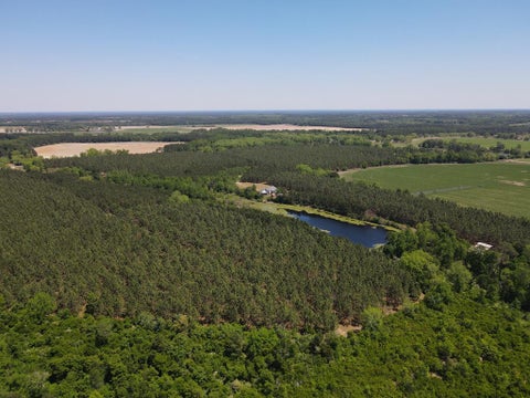 Tiny photo for 668 Ten Mile Rd, Fitzgerald, GA 31750 (MLS # 142583)