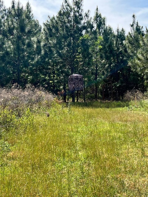 Tiny photo for 668 Ten Mile Rd, Fitzgerald, GA 31750 (MLS # 142583)
